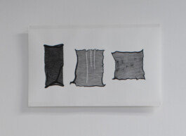 Henrike Schmitz