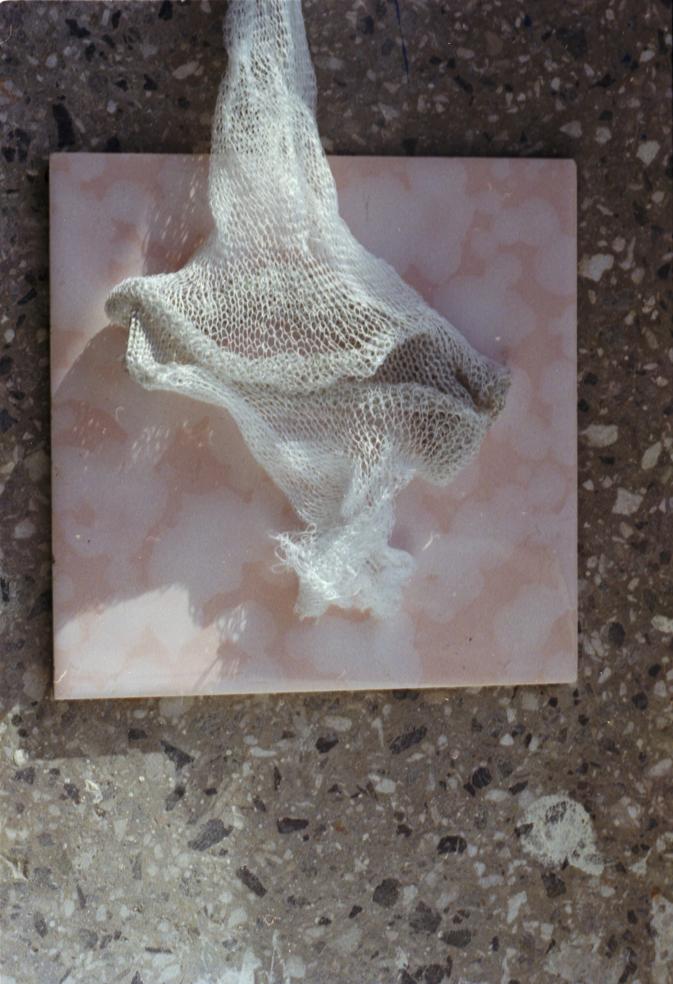 Henrike Schmitz